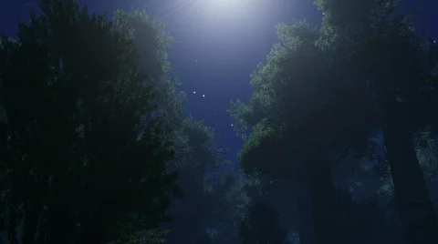 Night stars Stock Footage