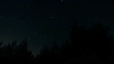 Night stars forest 库存影片 131095225