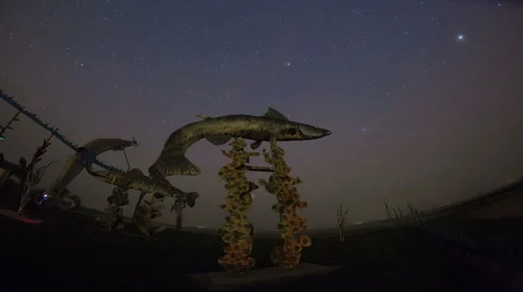 Night Stars Over Giant Fish Statue Stock Footage
