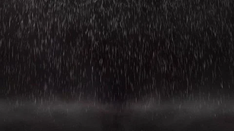 Night Storm Over Animated Rainforest Stock Footage 325329033