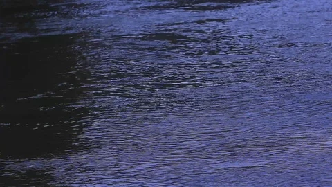 Night Stream of water flow river Video stock 106408379