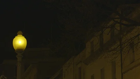 Night Street Lamps and Architectural Buildings in Washington DC Stock Footage