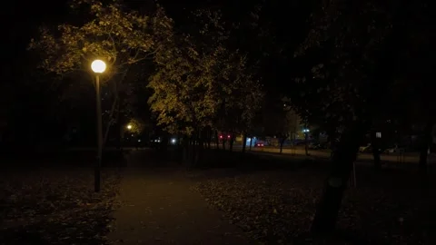 Night street light is on at night on an empty street Vídeos de archivo 306150547