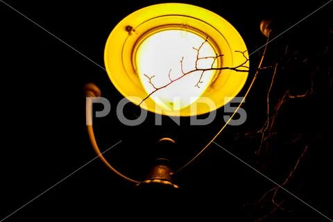 Night street light Stock Photos
