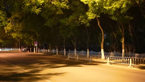 Night street traffic Stock Footage 197913168