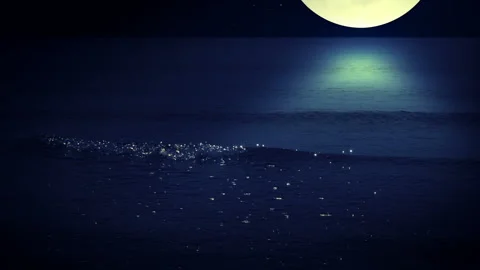 Night surf HD Vidéo 106458570
