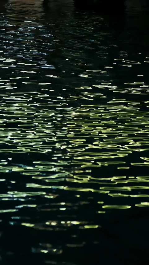 At night, on the surface of the water, the shines of the lights are reflected Stock Footage 310182660