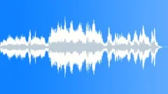 Night Teardrop Stock Music