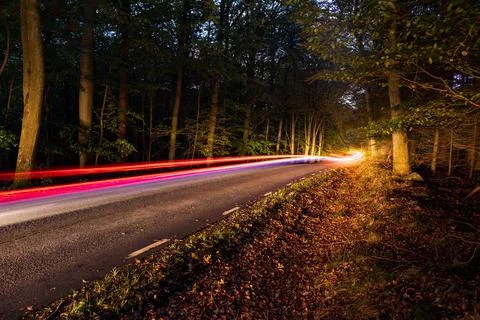 Night through the forest with light trail from a car Stock Photos