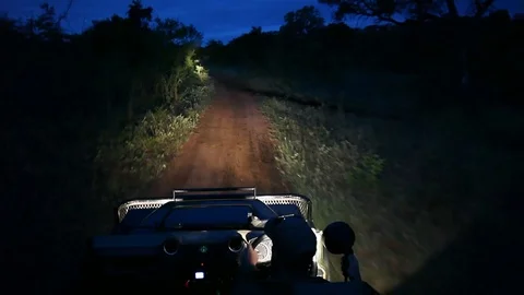 Night time 4x4 game drive safari in South Africa with a spotlight for searching Stock Footage 89700009