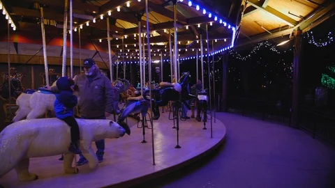 Night time carousel ride at Denver Zoo Stock Footage 99520295