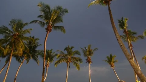 Night time cloud time-lapse 動画素材 56190587