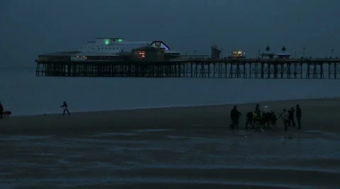 Night time donkey rides on the beach Stock Footage 48483765