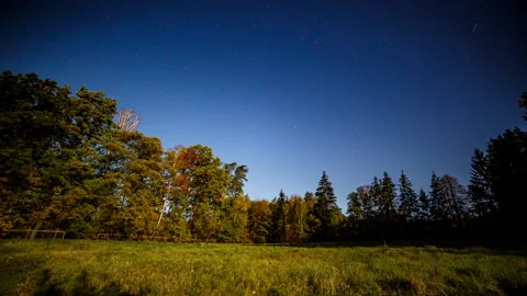 Night time lapse with autumn landscape illuminated by moon. Stock Footage 288565005
