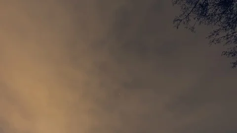 Night time lapse. Clouds, stars and trees. 4k. Color graded Stock Footage 87938700