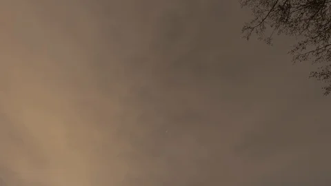 Night time lapse. Clouds, stars and trees. 4k. Flat for post processing. Stock Footage 87938706