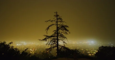 Night time-lapse of fog rolling into the city, view from Griffith Park in Los Stock Footage 115072182
