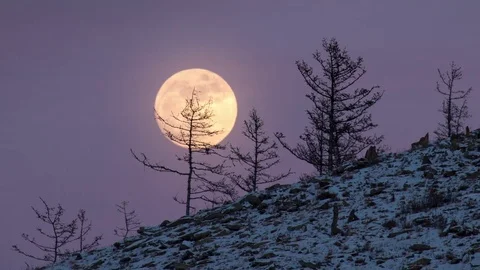 Night Time lapse Large full bright moon rises from above hill into sky. Stock Footage 72760099