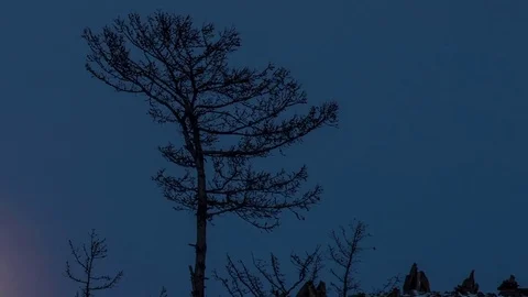 Night Time lapse Large full bright moon rises from above hill into sky. Stock Footage 73346899
