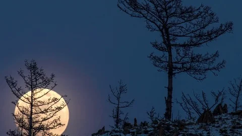 Night Time lapse Large full bright moon rises from above hill into sky. Stock Footage