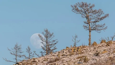 Night Time lapse Large full bright moon rises from above hill into sky. Stock Footage 75170730