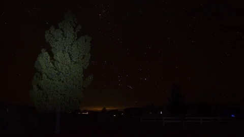 Night time lapse of a starry sky with a pine tree in the foreground Stock Footage 82527740