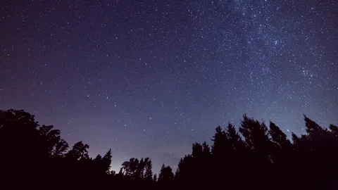 Night time lapse with starry sky and forest. Stock Footage 244515424