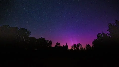 Night time lapse with starry sky and aurora borealis over forest. Stock Footage 281825787