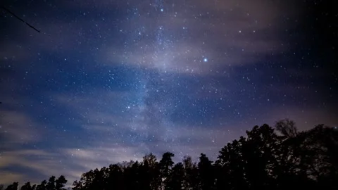 Night time lapse with starry  sky and trees. Stock Footage 297786352