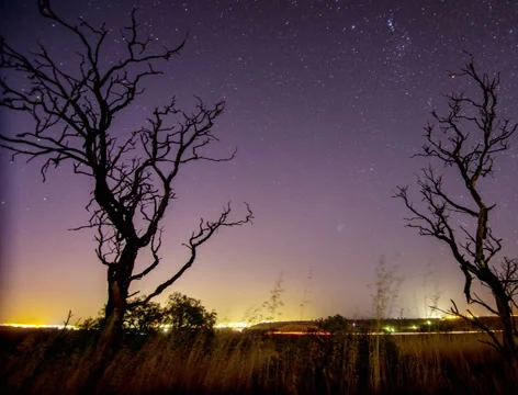 Night time lapse of startrails Stock Footage 35503507