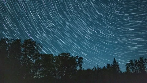 Night time lapse with startrails over forest. 4k timelapse. Stock Footage 325889435