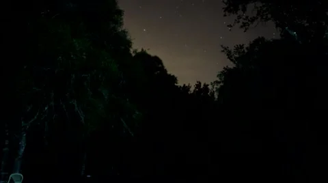 Night Time Lapse thru the trees 2 Stock Footage 40632304