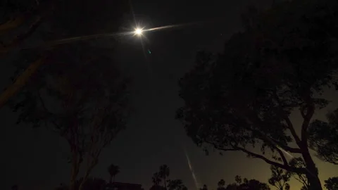 Night time lapse under palms Stock Footage 247076053