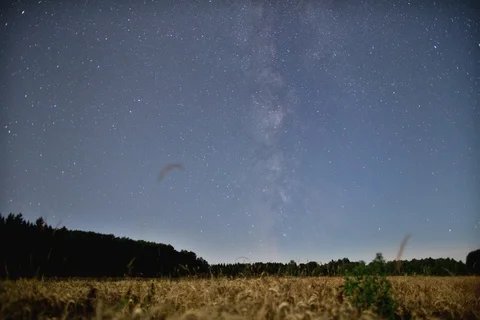 Night time Lapse in a wheat field Stockbeeldmateriaal 86083790
