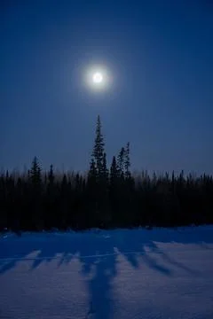 Night Time Moon Foto stock
