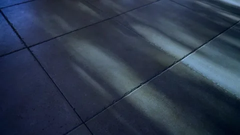 Night time with moonlight entering inside apartment or house from outside Stock Footage 316073376