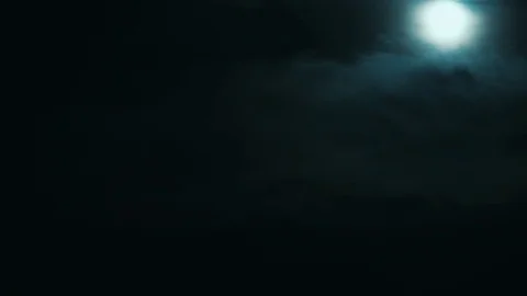 Night time , moonlight through trees ,  Halloween Stock-Footage 78568854