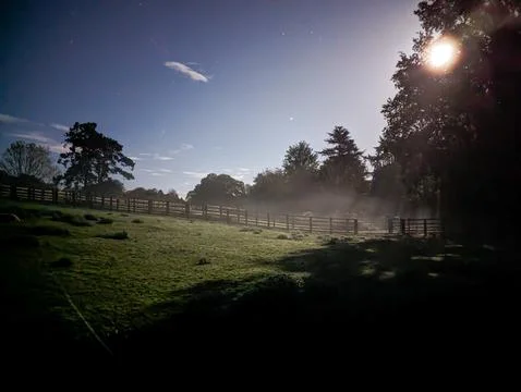 Night time night sight with moonlight streaming through the trees at a farm Foto stock