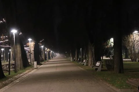 Night time in the park Stock Photos