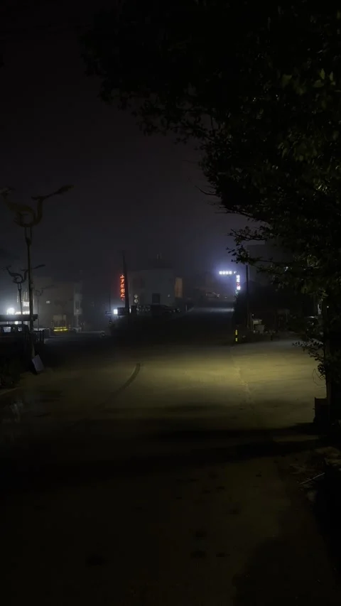 Night time rural China Stock Footage 316378853