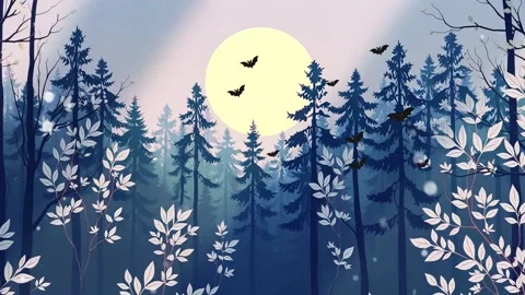 Night Time Sky: Full moon shining onto the Trees in the Forest, Shadows and wil Stock Footage 307001317