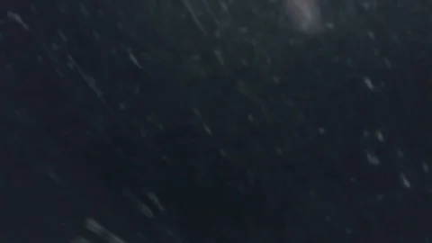 Night Time Slow Motion Blizzard Stock Footage 102390696