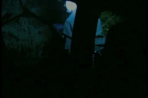 Night time state police pull over Video stock 8692200