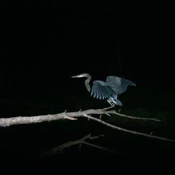Night-time Strech Stock Photos
