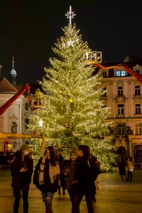 Night Timelapse Christmas Tree at old town during assembly in Prague Praha Stock Footage 143971381