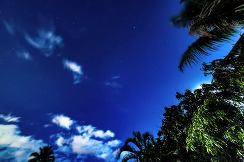 Night Timelapse of a dark blue sky with clouds and stars moving by Vídeos de archivo 302926157