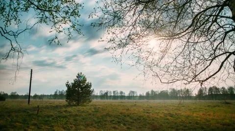 Night timelapse Stock Footage 49864856