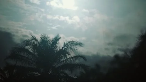 Night timelapse with full moon glowing like sun, fast-moving clouds and palm  Stock Footage 309913629