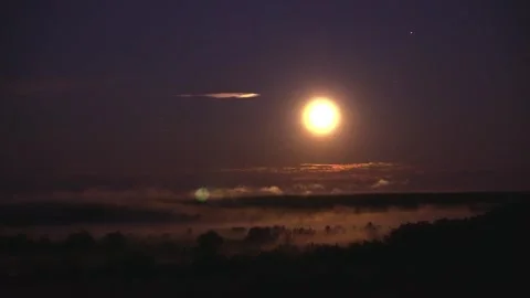 Night timelapse of full moon shining over foggy forest valley. Video stock 336167330