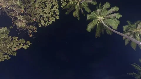 Night timelapse with gopro Stock Footage 194444247